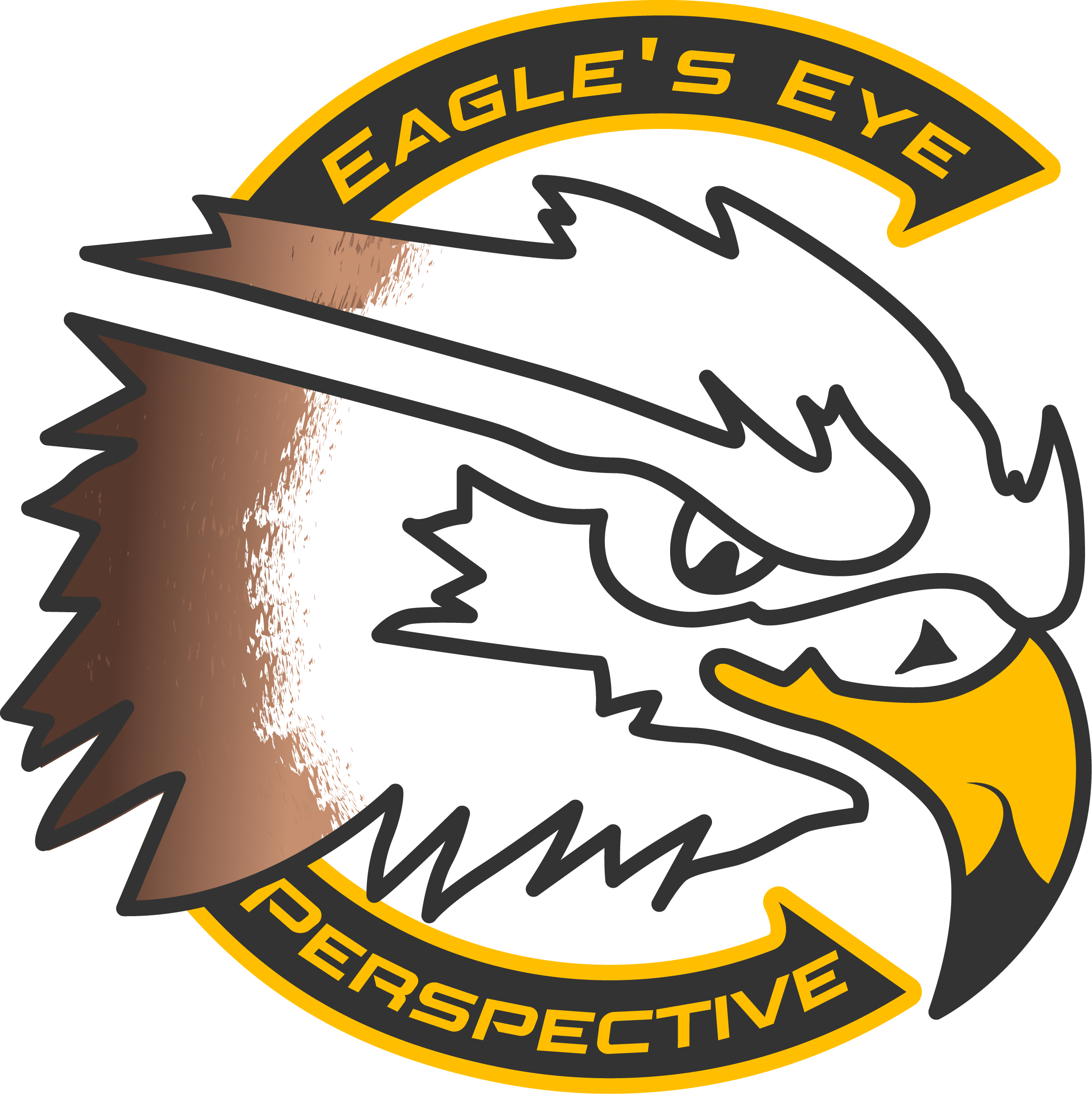 Eagle’s Eye Perspective profile image