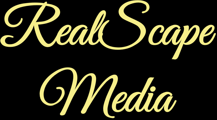 RealScape Media profile image